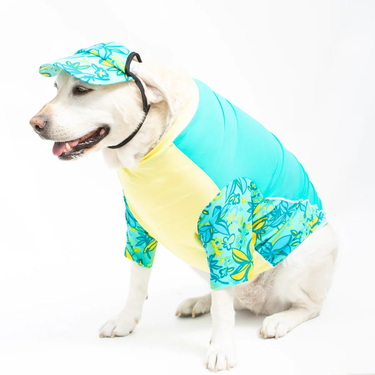 Dog Visor Sun Hat - Surf