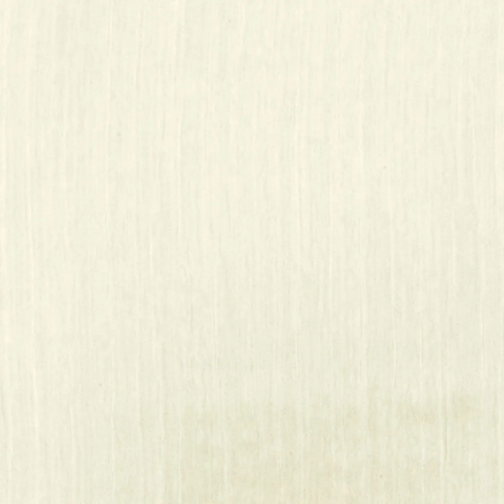 Paint Ivory Crinkle Nylon Double Weave Woven Fabric